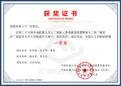 20224中国机器人及人工智能大赛一等奖