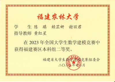 全国大学生数学建模福建赛区二等奖