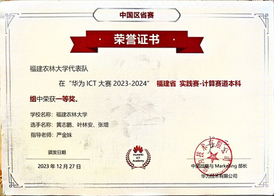 华为ICT大赛福建省实践赛道一等奖