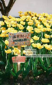 e3f1bf3e8bbe63649918ebd2985d1ef7